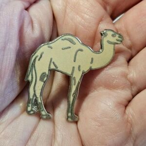 Hump daaaaayyy! Pin